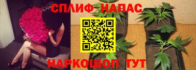герыч Ставрополь