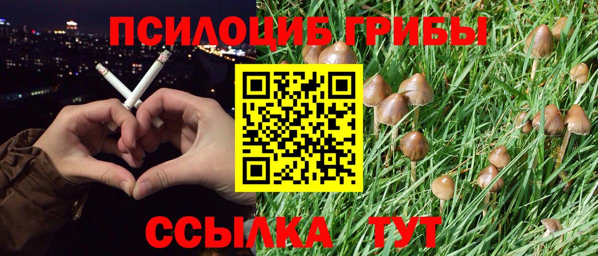 цена наркотик  Галлюциногенные грибы ЛСД  Краснокамск  Псилоцибиновые грибы Cubensis 